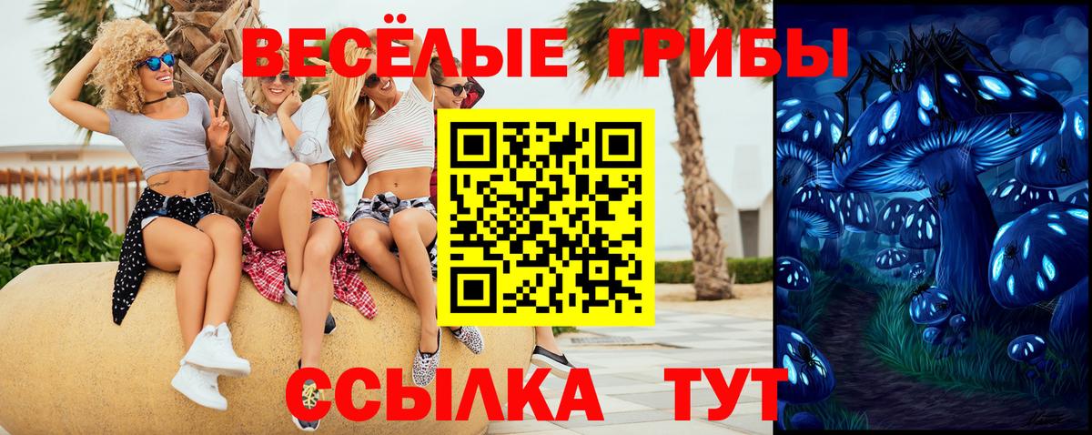где найти   Вход с VPN  Лабинск  Псилоцибиновые грибы MAGIC MUSHROOMS 